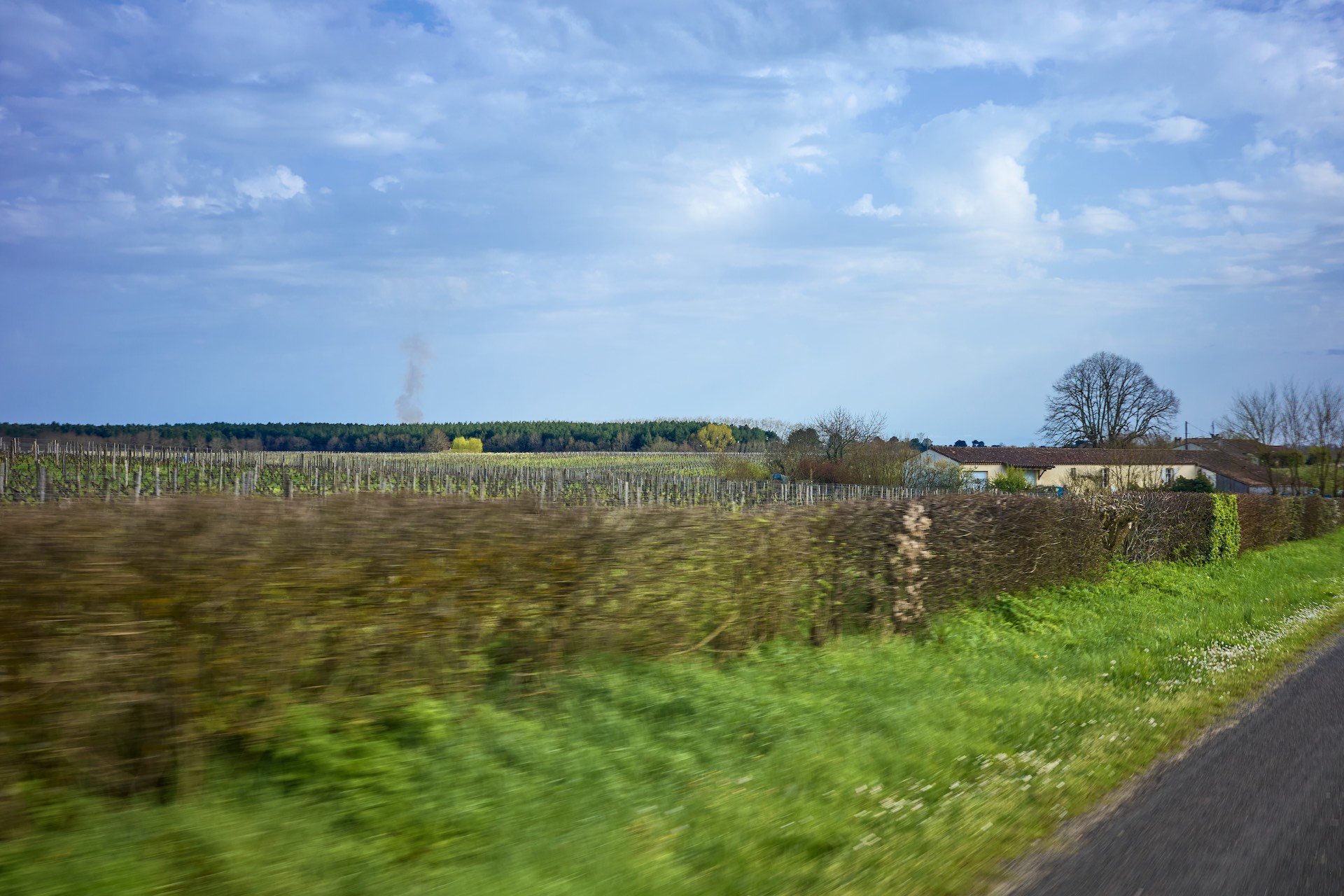les environs de Sauternes